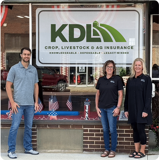 KDL Insurance team standing in front of a window