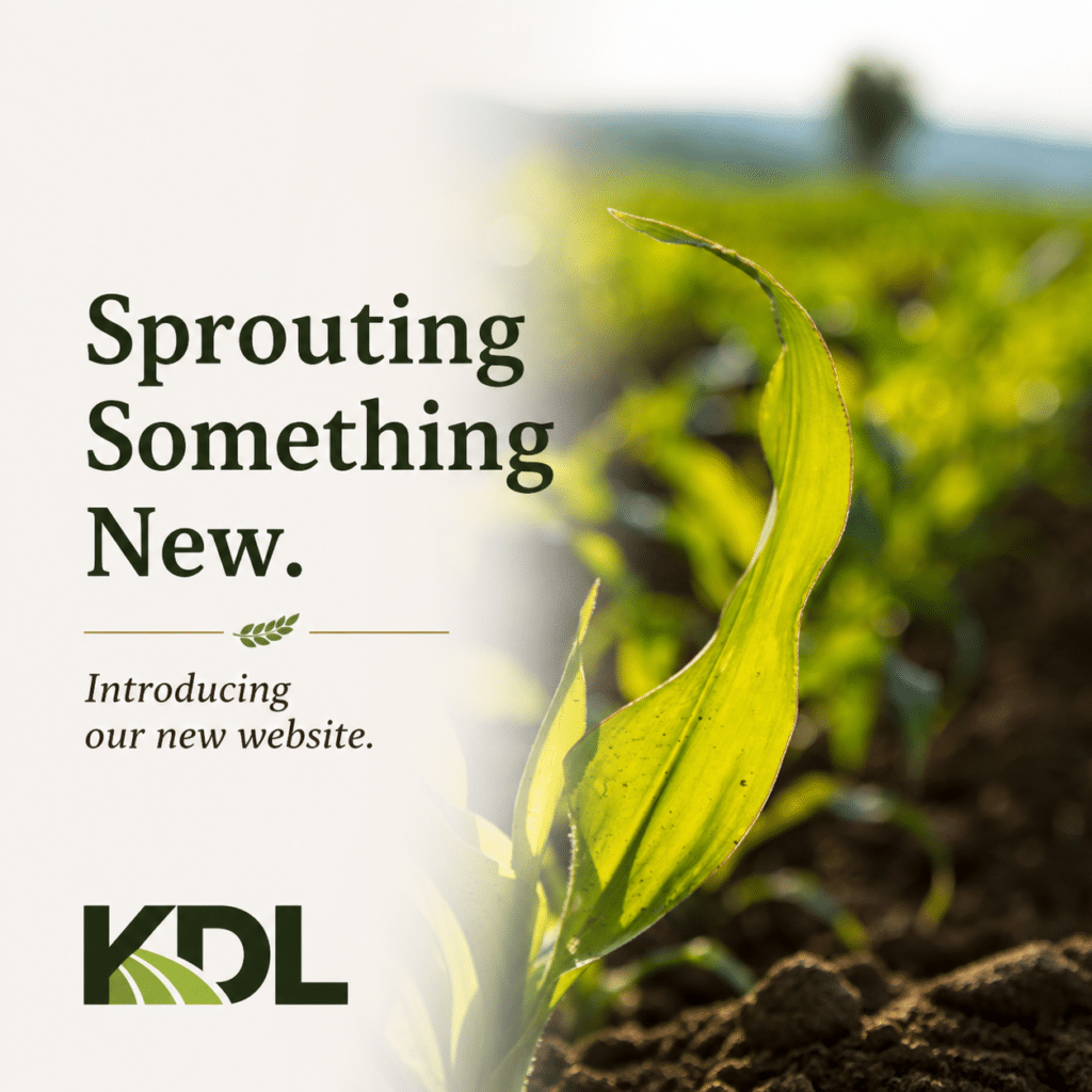 sprouting something new infographic