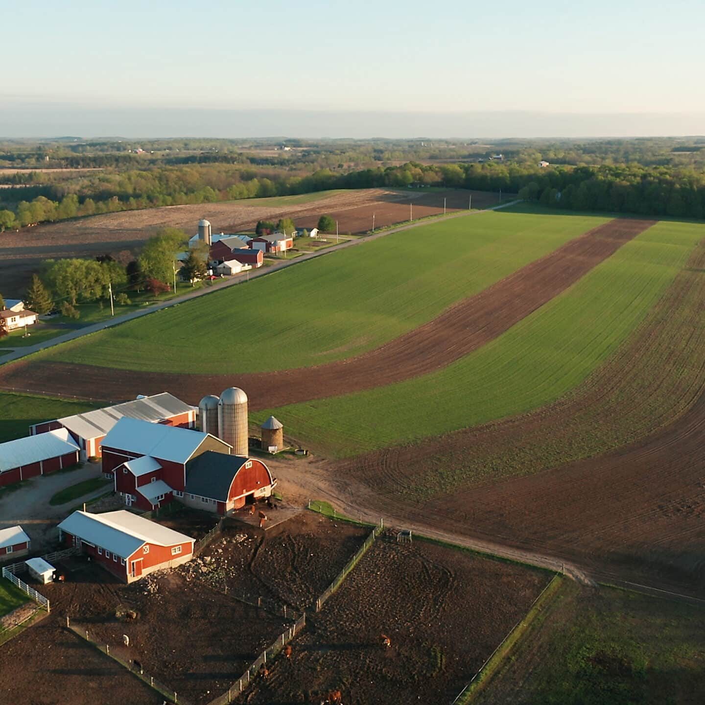 farm, red barn, cows. rural scenery, farmland