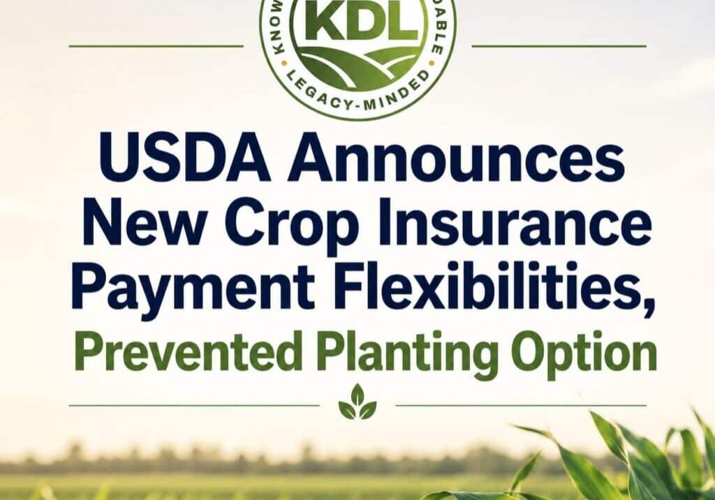 usda august 5 infographic